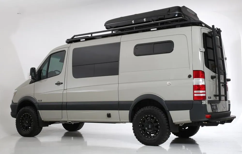 07  Sprinter Van HD Rear Door Ladder - Low Roof