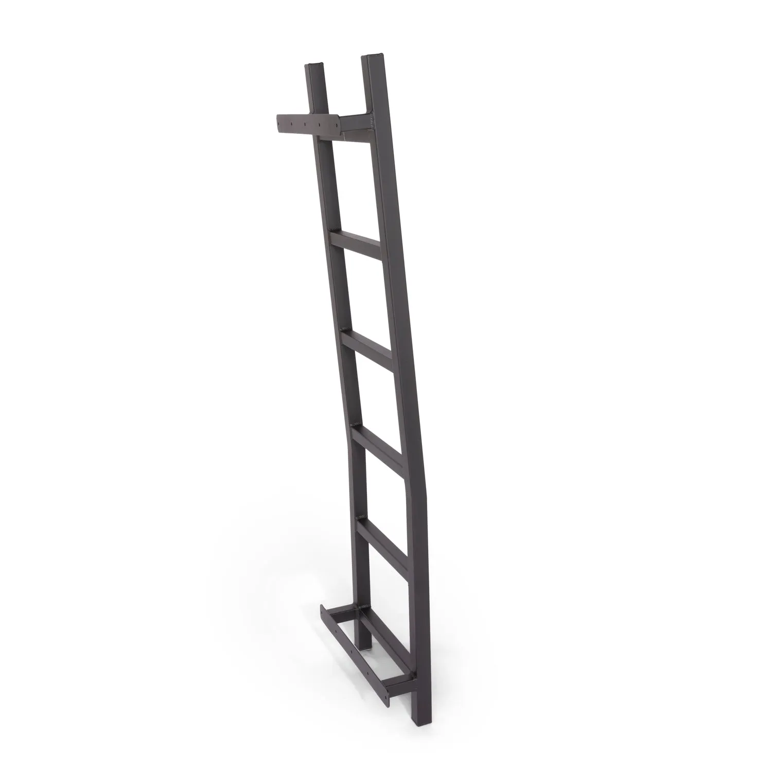 07  Sprinter Van HD Rear Door Ladder - Low Roof