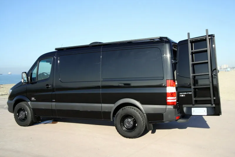 07  Sprinter Van HD Rear Door Ladder - Low Roof