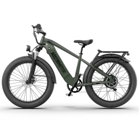 Aostirmotor 1000W 52V King All-Terrain Electric Bike