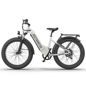 Aostirmotor 1000W 52V Queen All-Terrain Electric Bike
