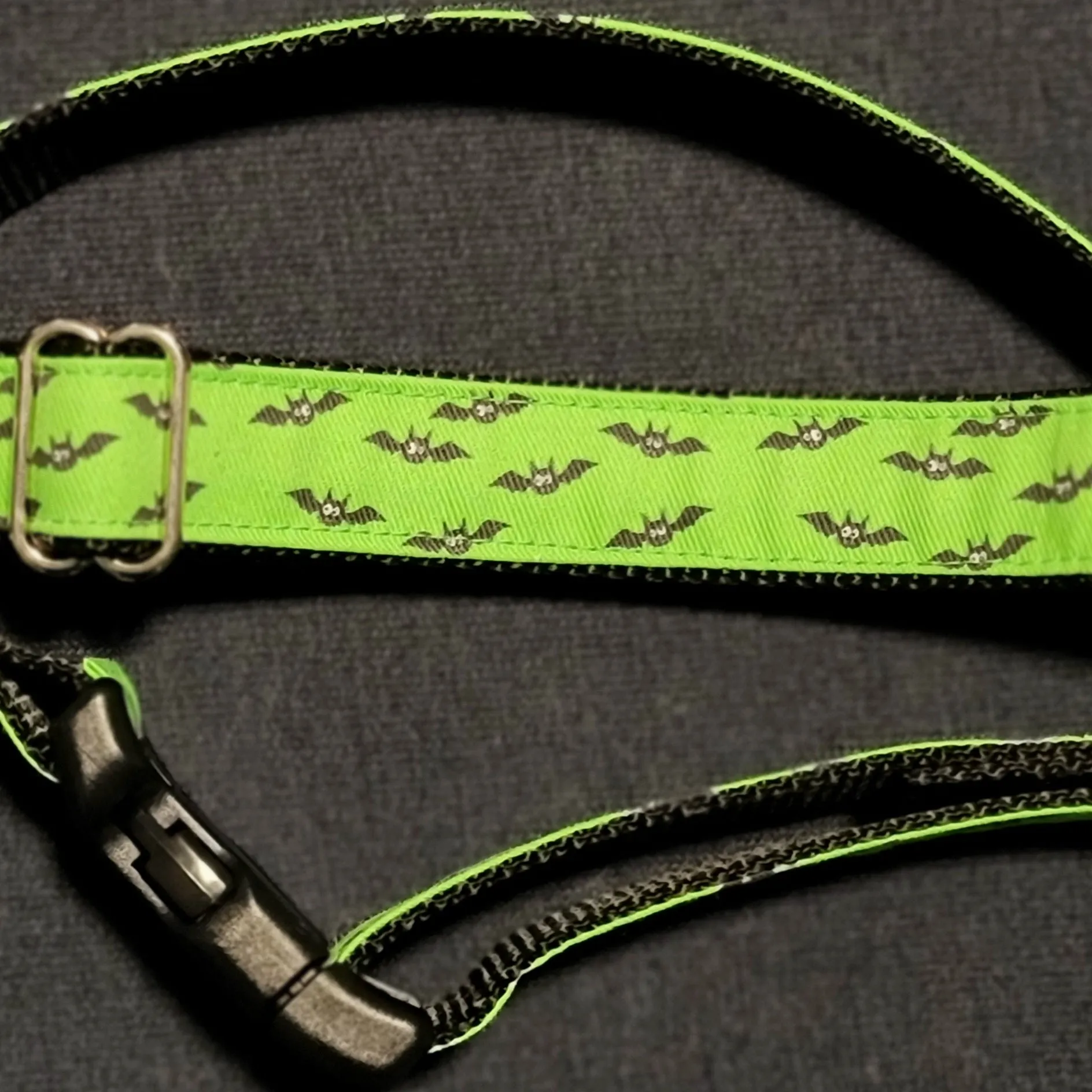 Bats Collar