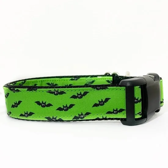 Bats Collar