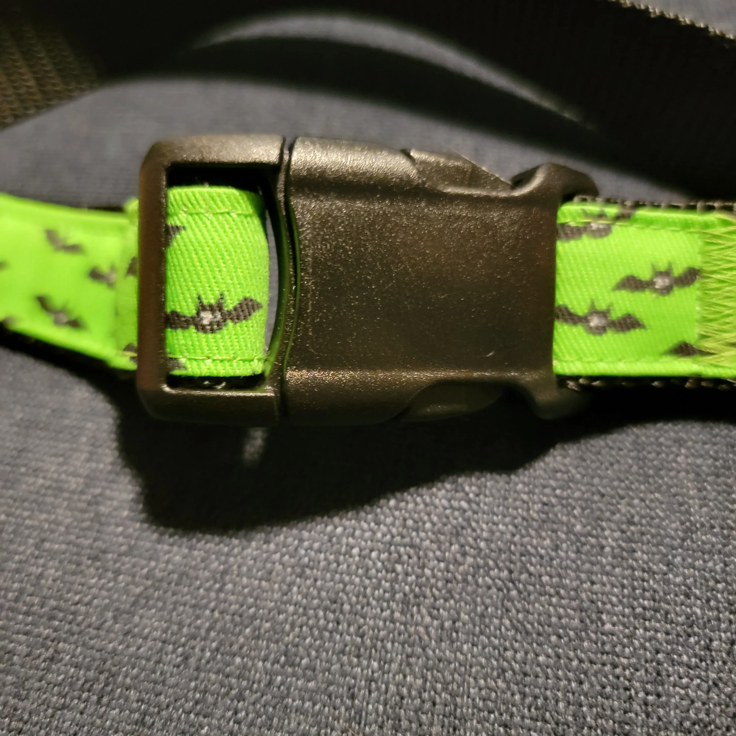 Bats Collar