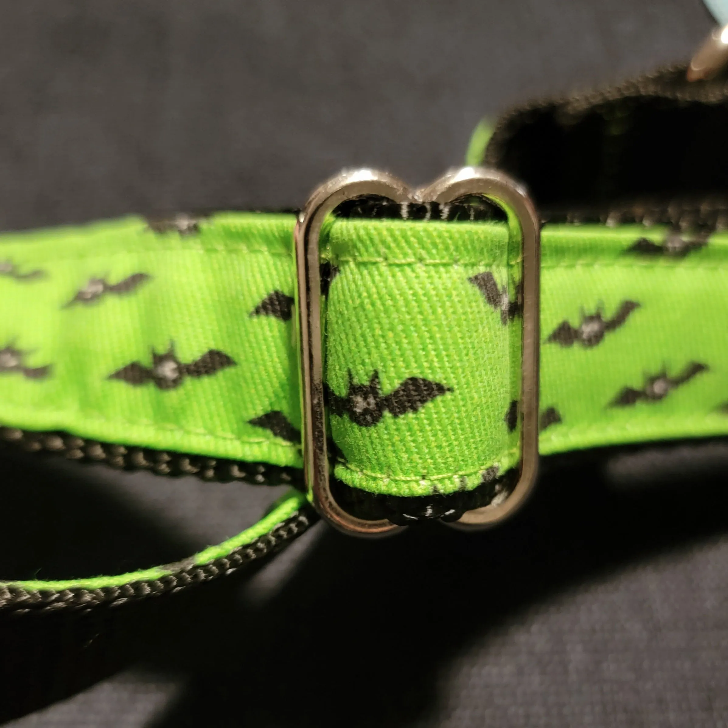 Bats Collar