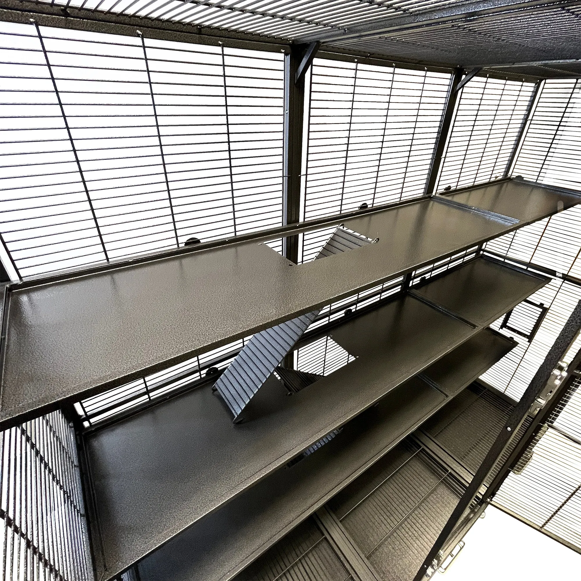 Optimized Borneo Version II Shelf and Ladder Set