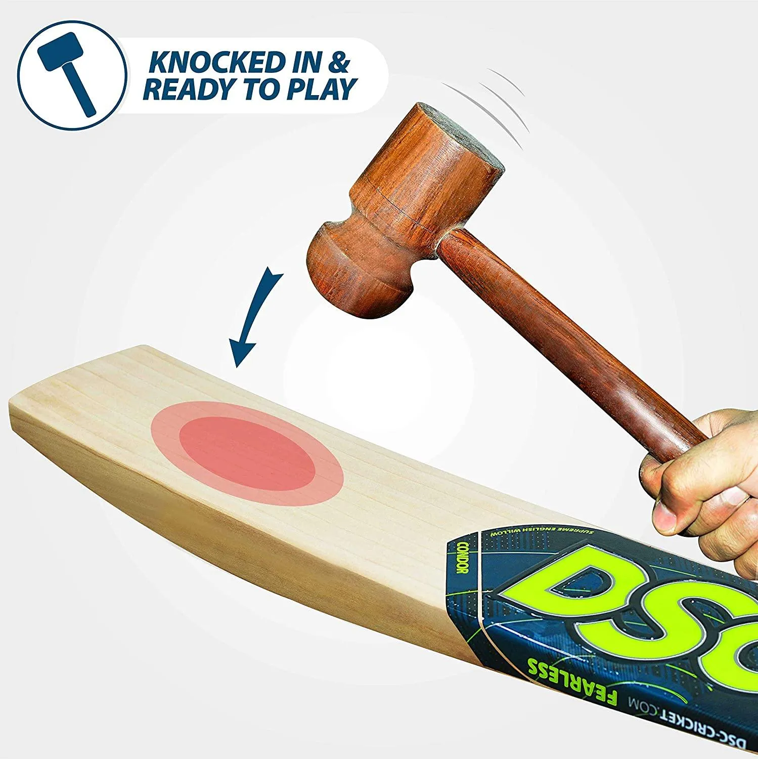 DSC Condor Flite English Willow Cricket Bat