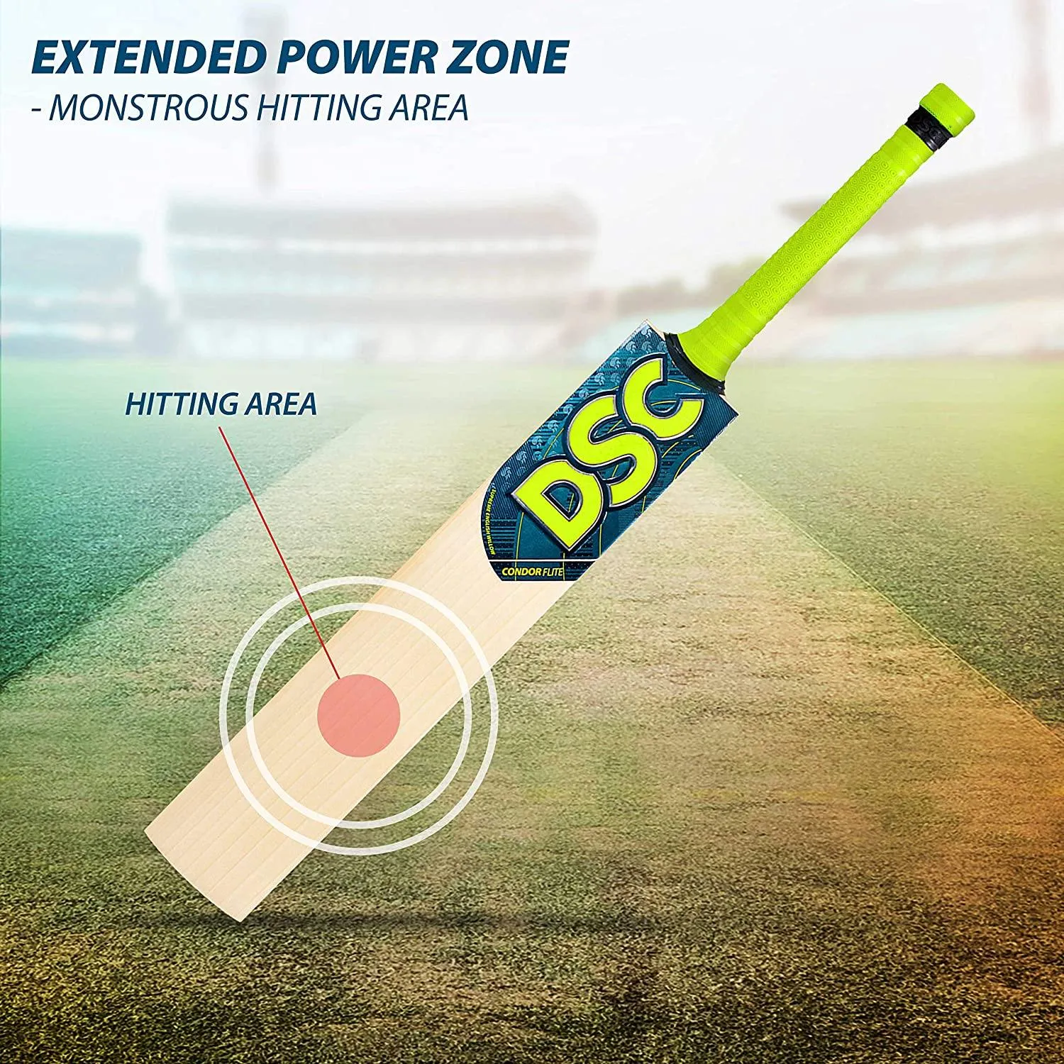DSC Condor Flite English Willow Cricket Bat