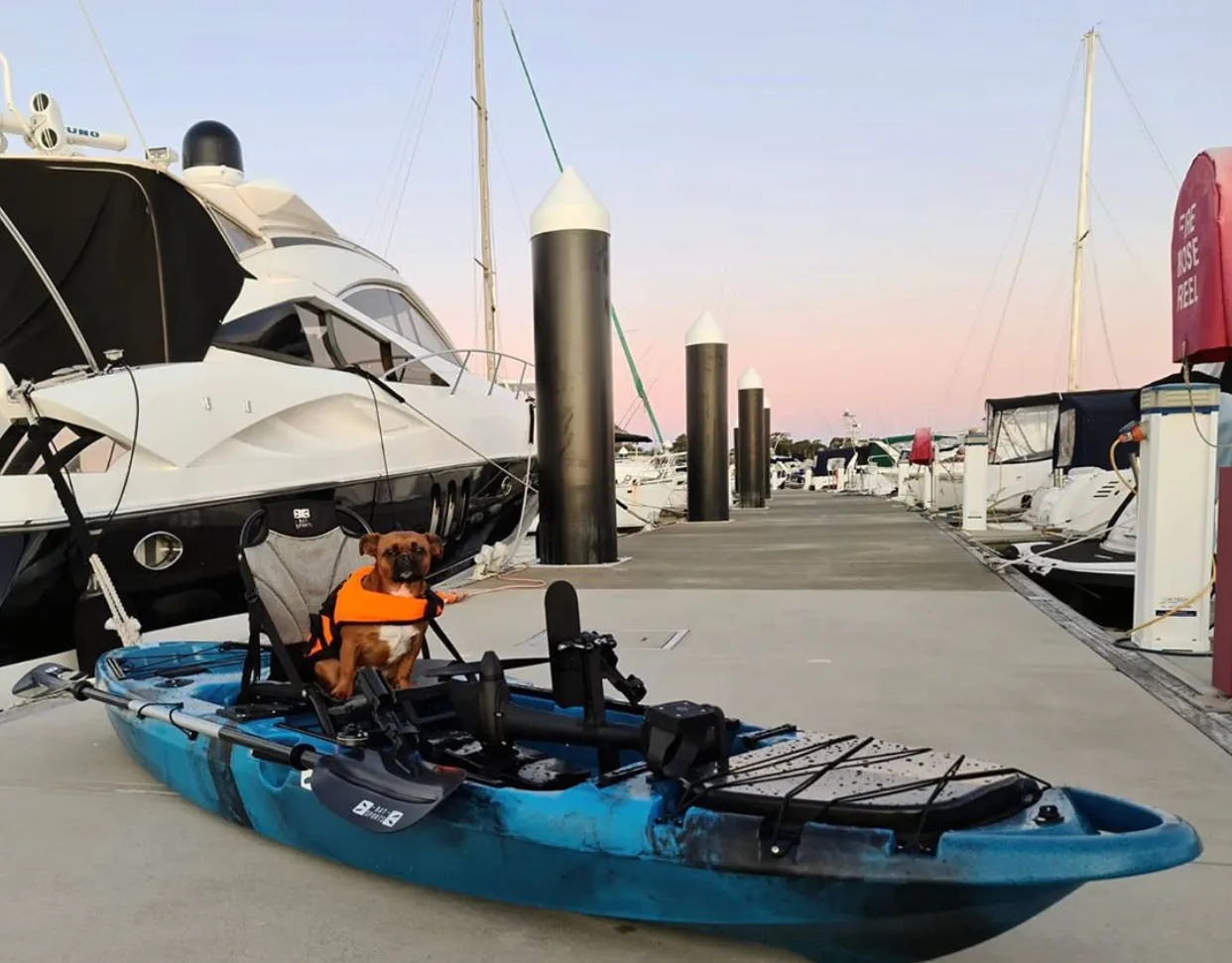 Pedal Pro Fish - 3.2m Pedal-Powered Fishing Kayak