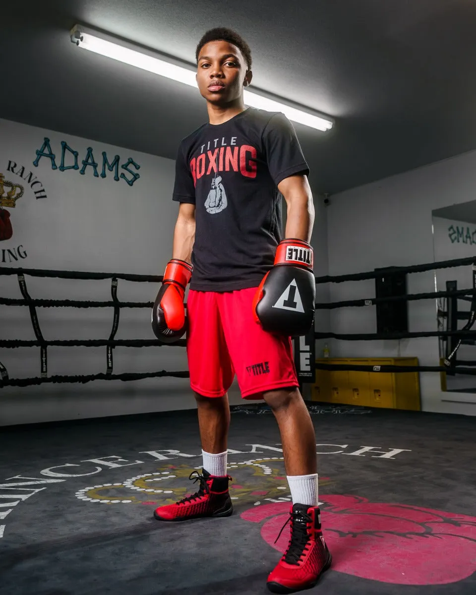 TITLE Boxing Pro Style Heavy Bag Gloves