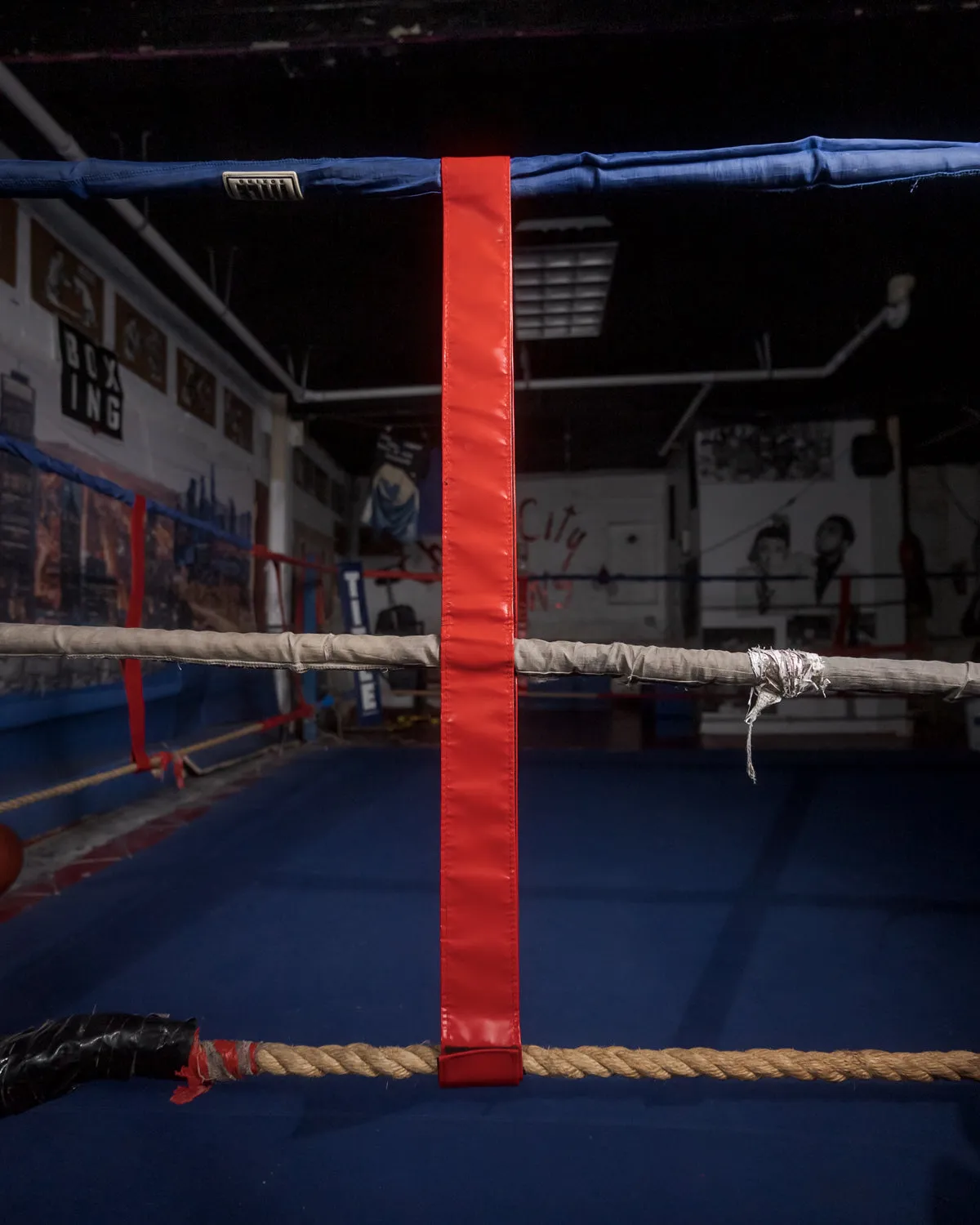 TITLE Boxing Two-Sided Rope Spacers - Blank