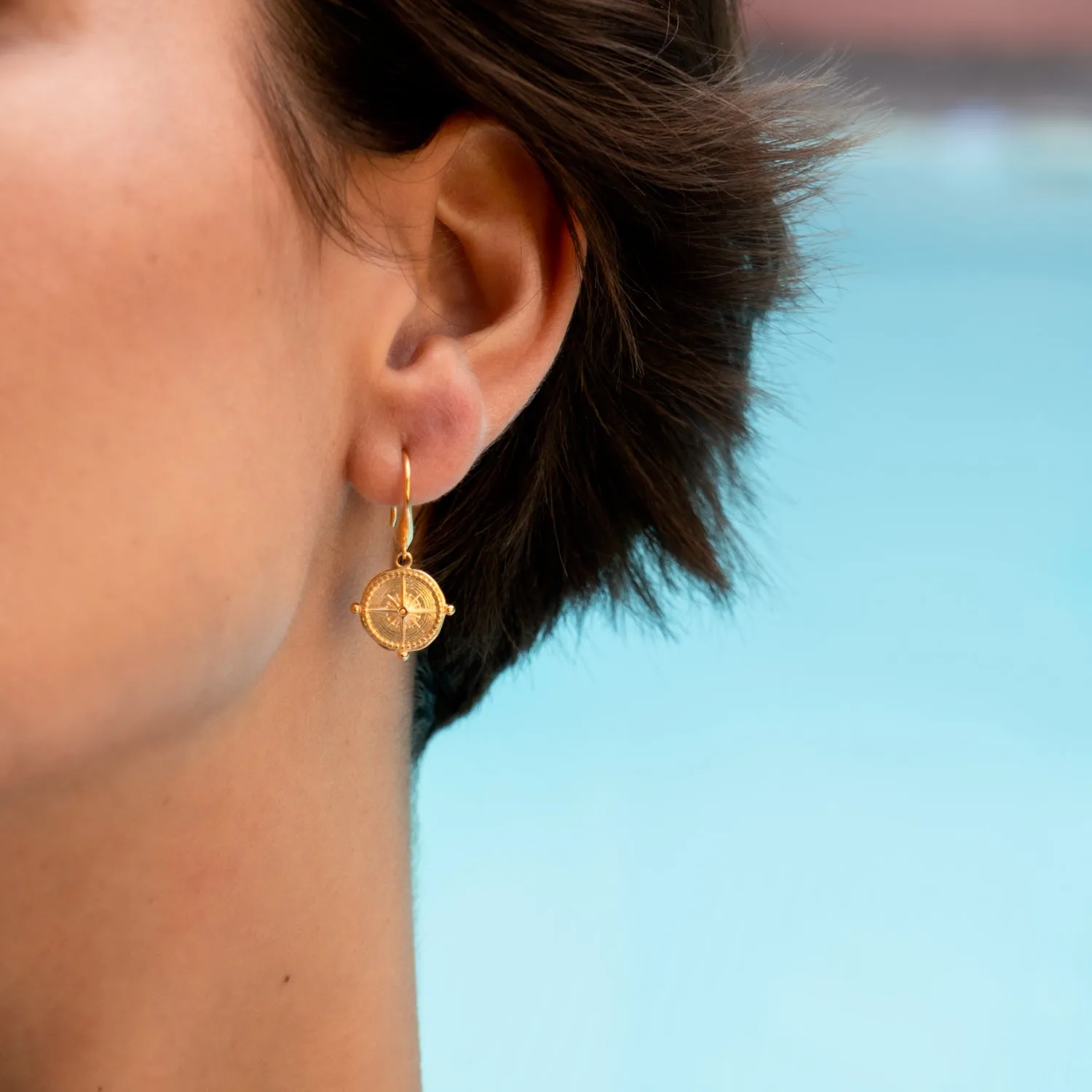 True North Story Drop Earrings